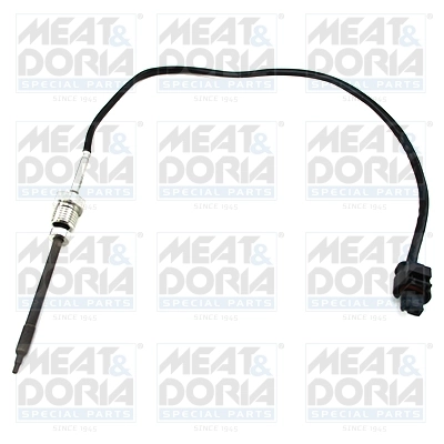 Sensor, exhaust gas temperature
